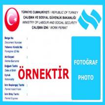 servicedetail/